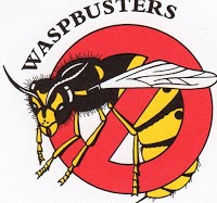 Waspbusters Pest and Vermin Control 371624 Image 1